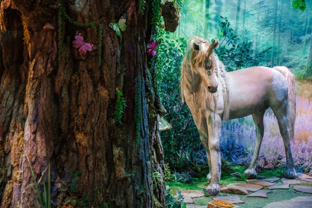 Криптозоологический музей «Бестиарий» в Санкт-Петербурге — уникальное место, где оживают мифы и легенды. Здесь посетители могут встретиться с фантастическими существами, такими как русалки, кентавры, драконы и единороги, погружаясь в атмосферу волшебства и таинственности.