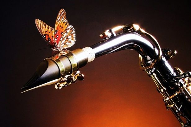 u0424u0435u0441u0442u0438u0432u0430u043bu044c u00abu0421u0432u0438u043du0433 u0411u0435u043bu043eu0439 u043du043eu0447u0438- 2016u00bb u043fu0440u043eu0439u0434u0451u0442 u0432 u043fu0435u0440u0432u044bu0435 u0434u043du0438 u0438u044eu043bu044f