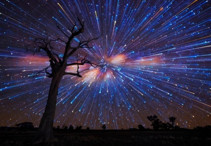 derevo-noch-nebo-zvezdy