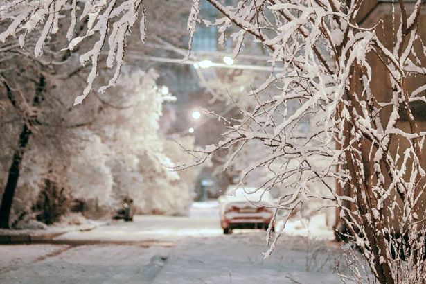 В Северной столице, в ночь с 31 на 1 января синоптики обещают снегопад, а также магнитную бурю, при этом будет плюсовая температура от 0 до +2 градусов.