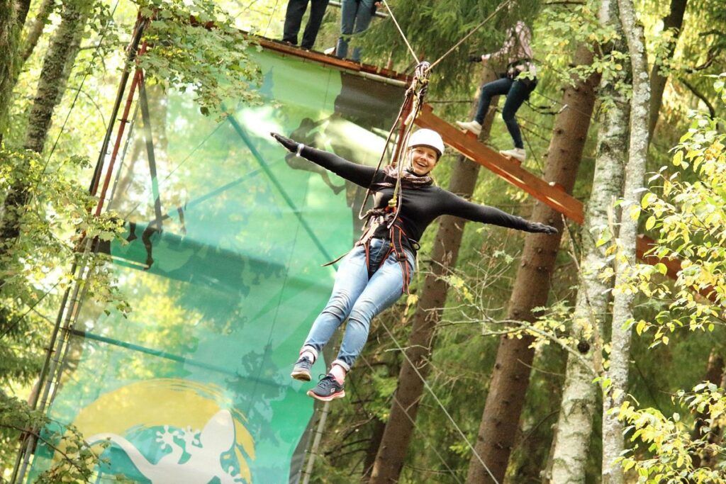 Tree To Tree в Репино