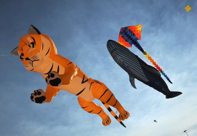 Около 150 воздушных змеев поднимутся в небо. Среди них можно будет наблюдать самые разные гигантские фигуры, среди которых тигры, рыбы, медведи, самолеты и многие другие. Фестиваль посетят мастера из Германии, Франции, Великобритании и Новой Зеландии.