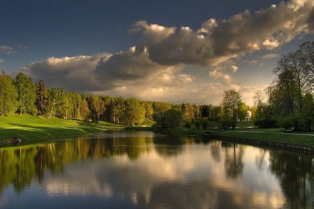 u041fu0430u0440u043au0438 u0432 u043fu0440u0438u0433u043eu0440u043eu0434u0430u0445 u041fu0435u0442u0435u0440u0431u0443u0440u0433u0430 u0434u043bu044f u0438u0437u0443u043cu0438u0442u0435u043bu044cu043du044bu0445 u043fu0440u043eu0433u0443u043bu043eu043a