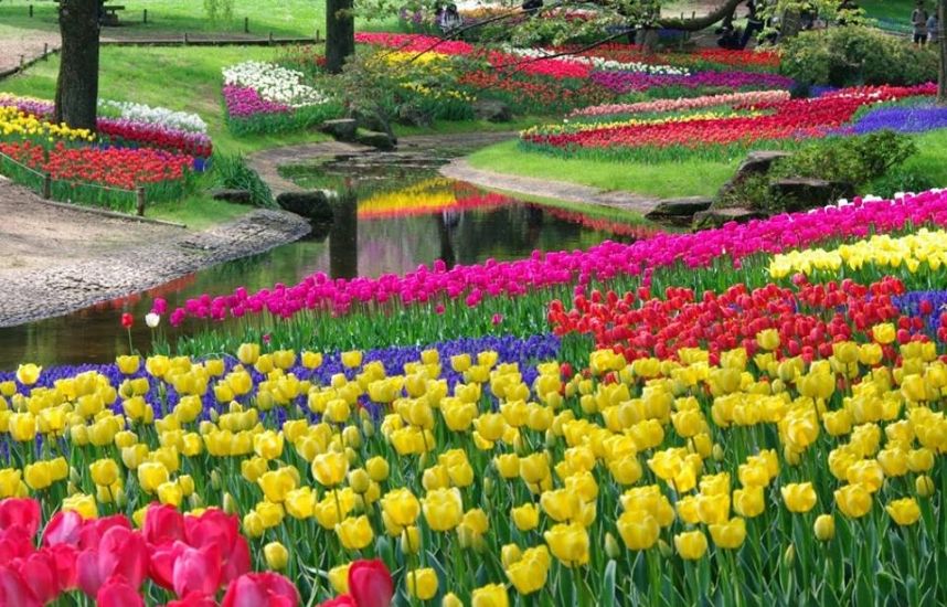 f92448c01061b99f7c7662b74d47a19a 9a74c