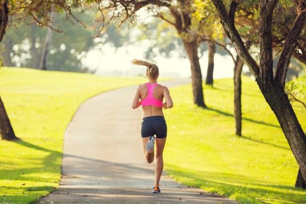 u0412 u0426u041fu041au0438u041e u0437u0430u0440u0430u0431u043eu0442u0430u043b u0433u0430u0440u0434u0435u0440u043eu0431 u0434u043bu044f u0441u043fu043eu0440u0442u0441u043cu0435u043du043eu0432