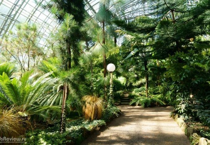 botanicheskii-sad-orangerei-4