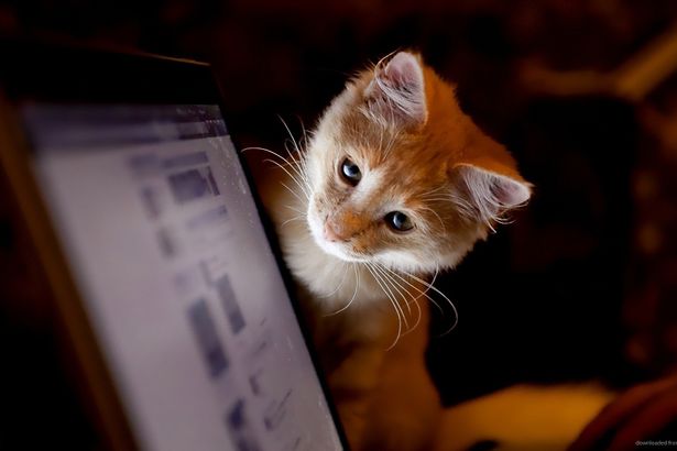 u041du0435u043du0443u0436u043du044bu0439 u043du043eu0443u0442u0431u0443u043a u043cu043eu0436u043du043e u0431u0443u0434u0435u0442 u043fu043eu0434u0430u0440u0438u0442u044c u043du0443u0436u0434u0430u044eu0449u0435u043cu0443u0441u044f u0440u0435u0431u0435u043du043au0443