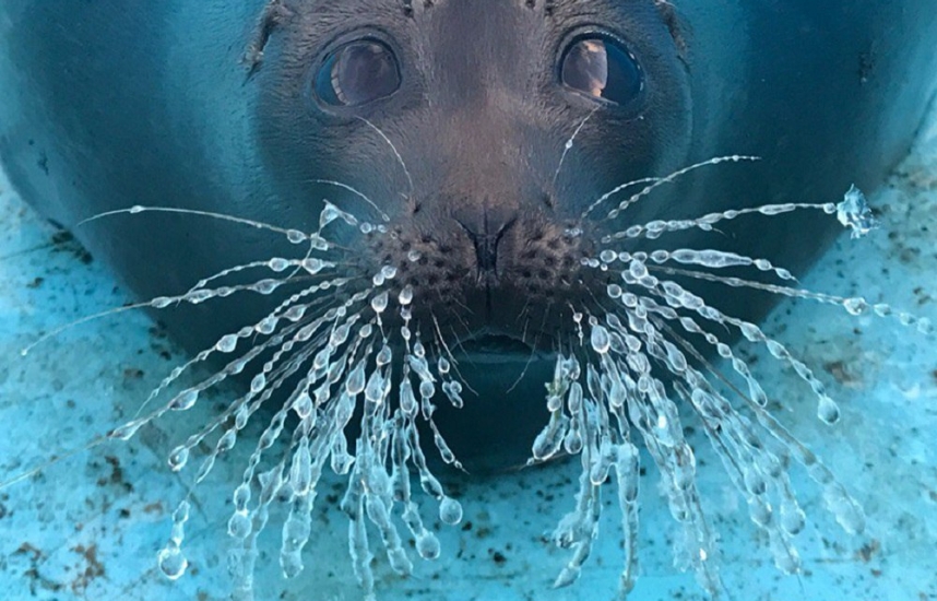 Лучшие мероприятия в городе: куда сходить в выходные 19-21 января 17 frvuagmlfz4 afaa5