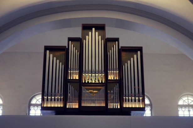 Привыкли к тому, что органный концерт - это так серьезно, что кому-то может даже показаться скучным? Отвыкайте! Ведь самый большой и мощный музыкальный инструмент в мире скучным быть точно не может! А чтобы доказать это,&nbsp;Amadeus Concerts приглашает вас на один из самых необычных концертов Петербурга -&nbsp;«Битву Органов»!