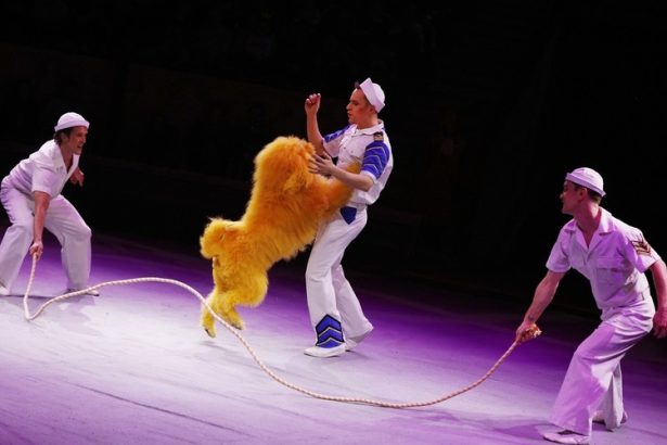 Программа «ЭпиЦЕНТР мира»