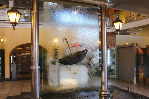 В подземке Петербурга зацвели розы. На станции метро "Выборгская" распустились красивые цветы. Сад с растениями на станции расположен в верхнем вестибюле.&nbsp;