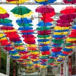 u0422u041eu041f u0432u0430u043au0430u043du0441u0438u0439 u0432 u0438u043du0434u0443u0441u0442u0440u0438u0438 u0440u0430u0437u0432u043bu0435u0447u0435u043du0438u0439 u0421u0430u043du043au0442-u041fu0435u0442u0435u0440u0431u0443u0440u0433u0430