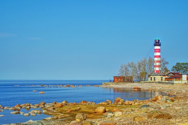 В культурной столице вскоре появится первый ночной музей. Создатель галереи – художник Илья Вереск. В новом пространстве будут выставляться как работы самого автора, так и других современных творцов. Вопрос цены за вход пока прорабатывается. Также художник не раскрывает секрет о местоположении будущего музея.&nbsp;