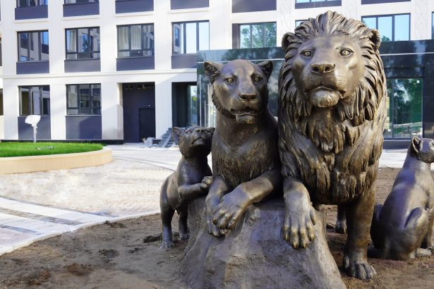 В центре Петербурга установили скульптуры львов, исполняющих желания