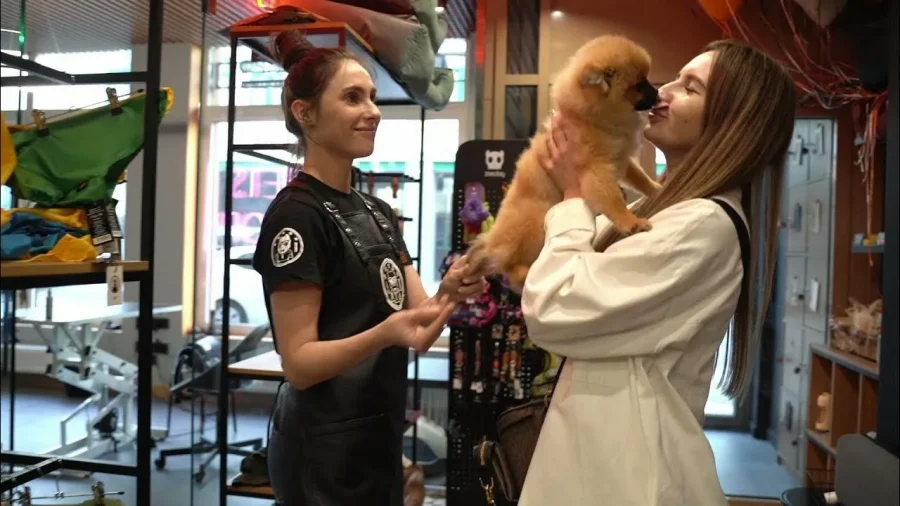 15 груминг-салонов Петербурга для кошек и собак 20 Ищете, где подстричь собаку или кошку в Петербурге без стресса для питомца? Проверили 18 салонов и отобрали 15 лучших. С гарантией качества, прозрачными ценами от 2000₽ и честными отзывами о работе с тревожными животными.