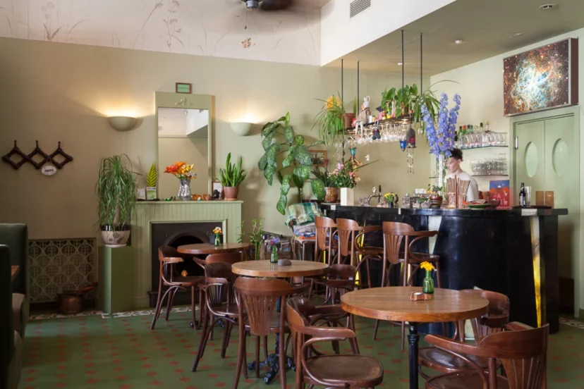 15 мест где вкуснее всего для веганов в Санкт-Петербурге 55 Вегетарианский ресторан Ботаника в Санкт-Петербурге — аюрведическая кухня