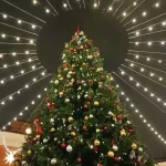 Билет на две ночи — 31 декабря и 1 января — стоит от 1090₽. Танцуете до рассвета, спите, возвращаетесь на вторую часть марафона. Лофты сдают от 15000₽: свои гирлянды, своё шампанское, свой плейлист. В антикафе платите за время и приносите оливье из дома. А на Севкабеле бой курантов встречают на катке — снег в лицо, фейерверк над заливом, глинтвейн в варежках.