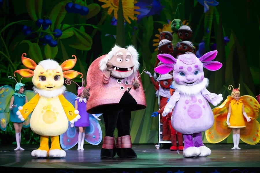 Детские ёлки в Петербурге 2026: 12 представлений от дворцовых балов до научных квестов 31 В этом сезоне петербургские ёлки разделились на два мира. В одном дети танцуют мазурку в императорских залах, в другом запускают химические реакции и ловят жидкий азот. Двенадцать проверенных вариантов от 600 до 9000 рублей.