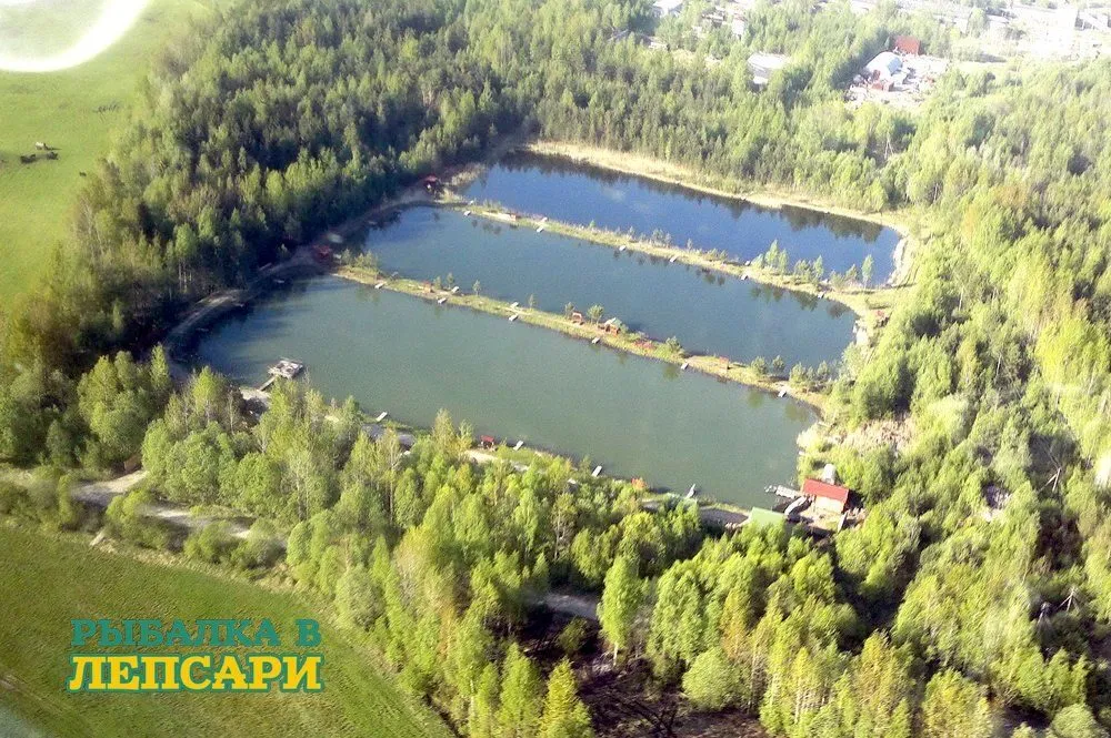 Пруд с деревянными мостками для ловли форели в комплексе Лепсари под Всеволожском